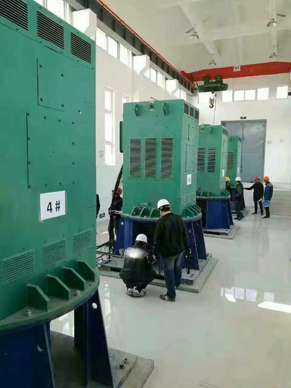 绥宁某污水处理厂使用我厂的立式高压电机安装现场